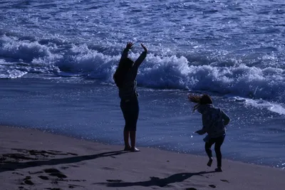 DSC_0401 (Large).JPG